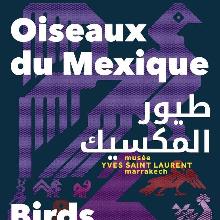 Birds Of Mexico